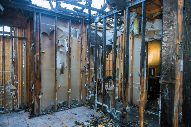 Professional Fire Damage Removal technician working in Lincoln Park, NY